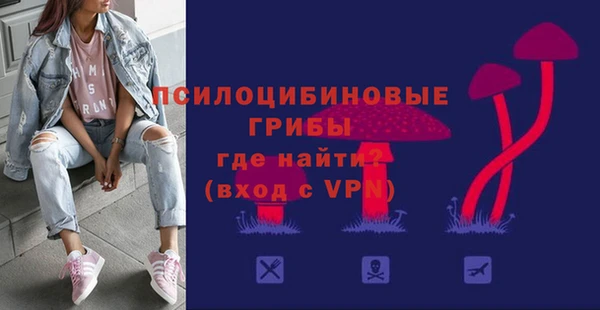 бошки Вяземский