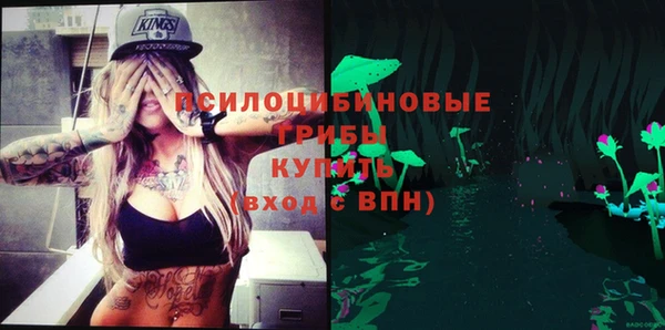 бошки Вяземский