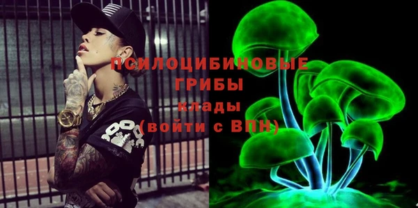 бошки Вяземский