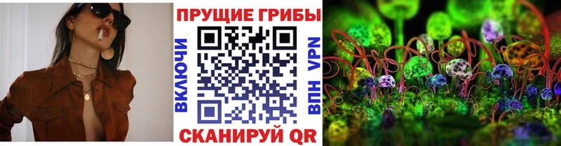 Псилоцибиновые грибы GOLDEN TEACHER  Купить закладки  Козельск 